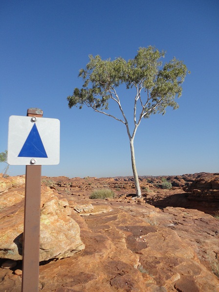 c0076823_081128.jpg