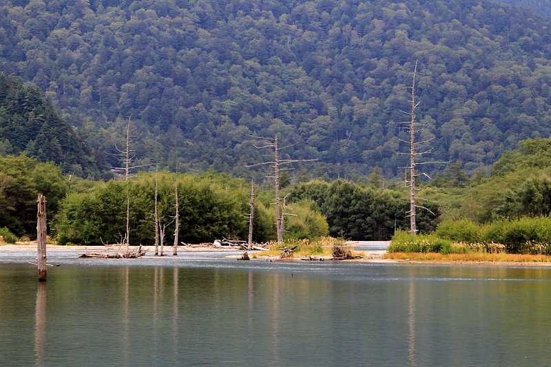 f0031423_21245396.jpg