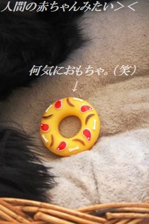 鮭のえのきハーブクリームソース_d0104926_5254243.jpg