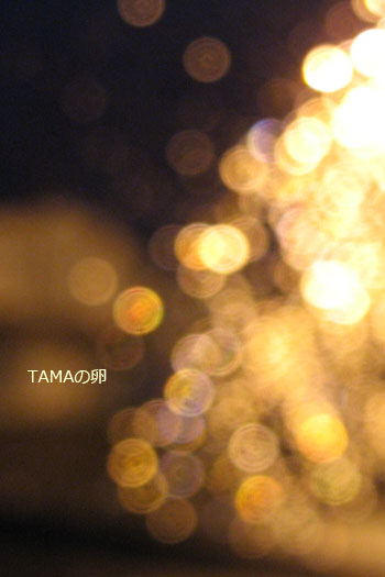 c0024729_20442892.jpg