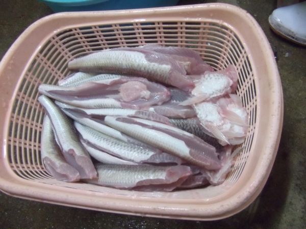 西海市 松島の特産 エソのすり身 故郷の島の独り言