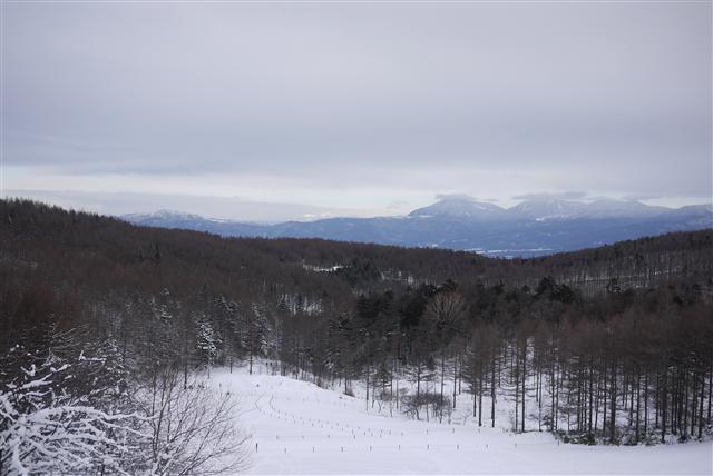 ▲山日記▲(vol.5 入笠山)_d0052831_23403828.jpg