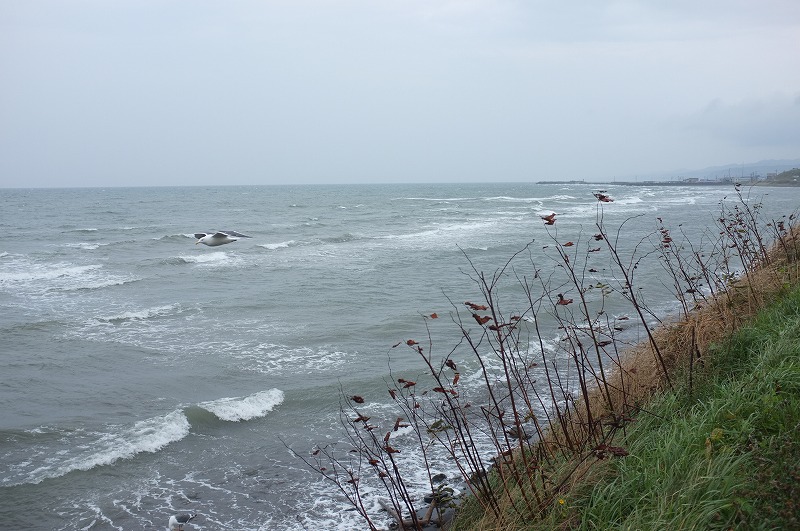 セプテンバー　ツーリング　北海道　　雨だ！_f0050534_6462021.jpg