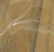 c0025937_195572.jpg