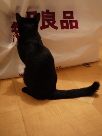 無印良品にタッチする猫 のぇるろった編。_a0143140_23581188.jpg