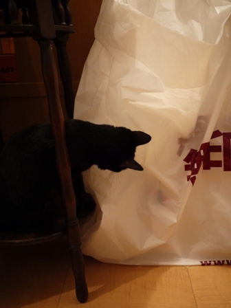 無印良品にタッチする猫 のぇるろった編。_a0143140_23584514.jpg