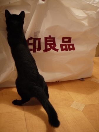 無印良品にタッチする猫 のぇるろった編。_a0143140_2359941.jpg