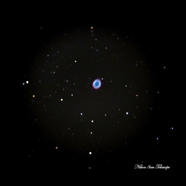 b0167343_23124536.jpg