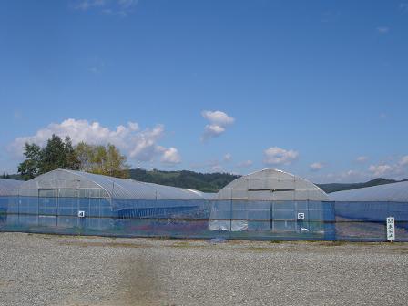 e0181047_235330.jpg