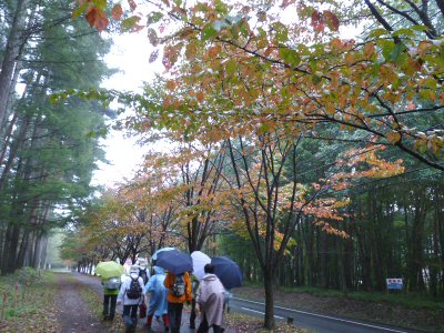 棒道ウォーク10キロ下見_f0019247_23524486.jpg