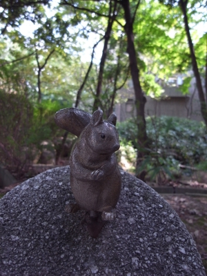 大阪・神戸の旅　－伊丹昆虫館－_a0134952_0395952.jpg