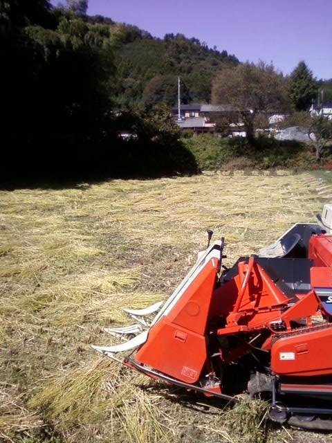 c0074157_15131079.jpg