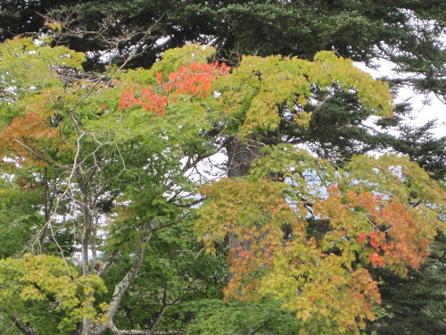 f0236260_2042448.jpg
