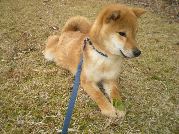 2011年2月28日(月)雨の日には・・・_f0060461_1732277.jpg