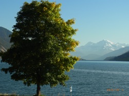 e0195766_01433.jpg