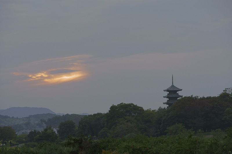 b0198768_20442270.jpg