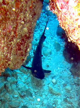 e0096370_16592244.jpg