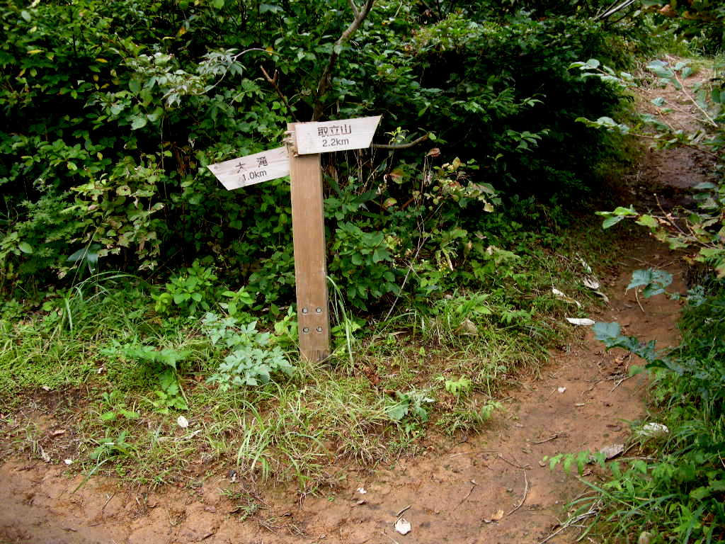 b0185573_2072543.jpg