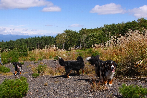c0149178_17551420.jpg