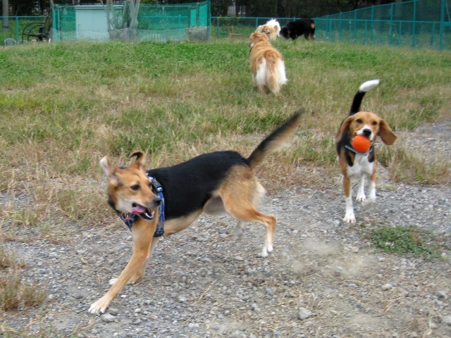 f0230380_19103634.jpg