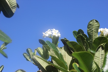 f0232083_4365655.jpg