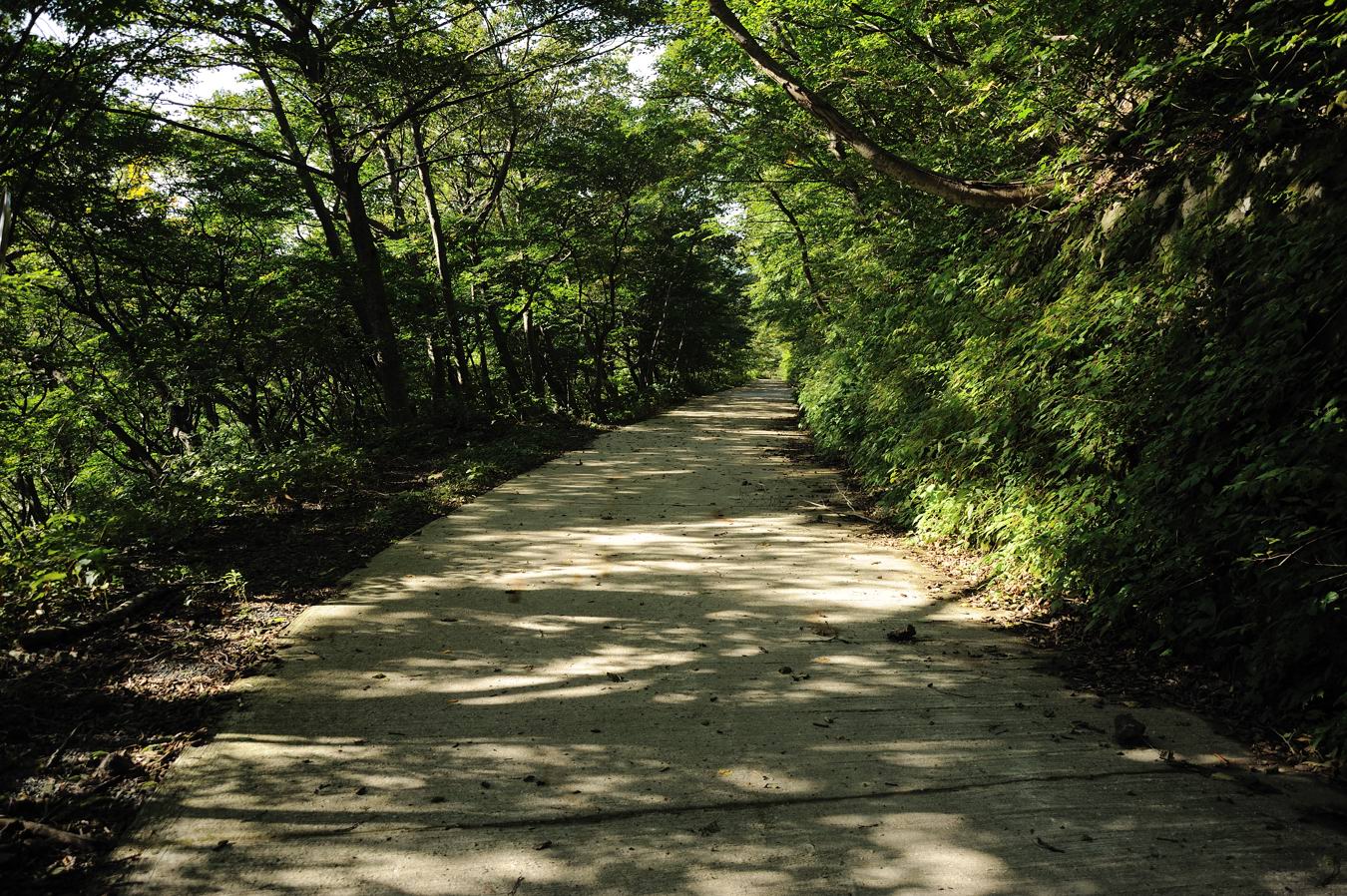 c0138991_7254428.jpg
