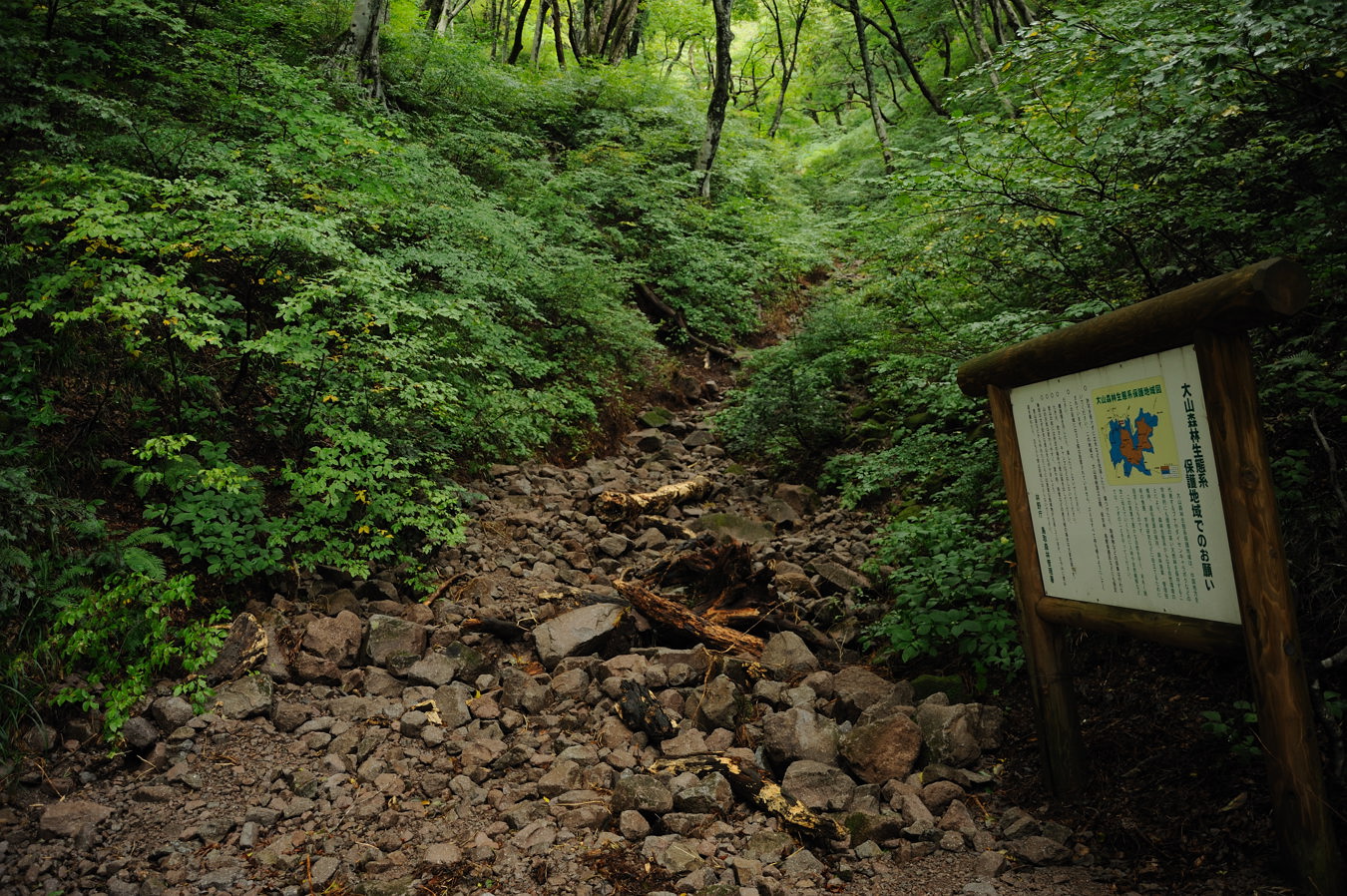 c0138991_791779.jpg