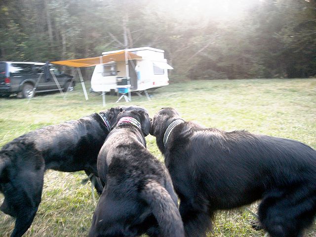 a0093592_0321359.jpg