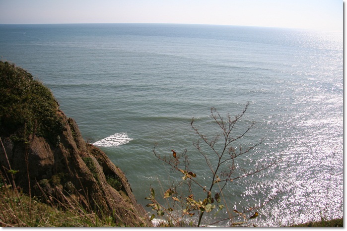 f0146493_1324897.jpg