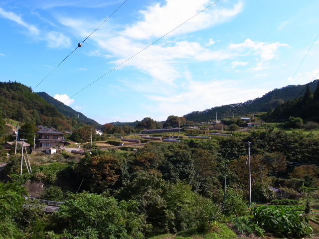 秋のロングライド～尾根幹～大垂水峠～雛鶴峠～道坂峠　第一部_d0081997_21242941.jpg