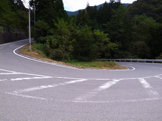 秋のロングライド～尾根幹～大垂水峠～雛鶴峠～道坂峠　第二部_d0081997_2213929.jpg