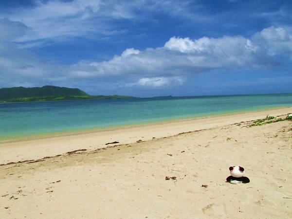 小浜島最西端_f0033598_2211779.jpg