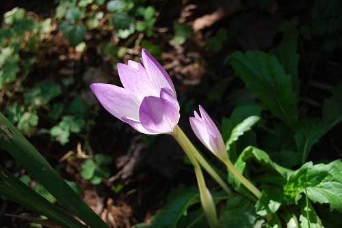 c0124100_23355991.jpg