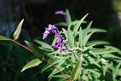 c0124100_23365157.jpg