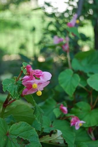 c0124100_23371068.jpg