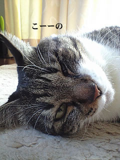 c0035001_2153762.jpg