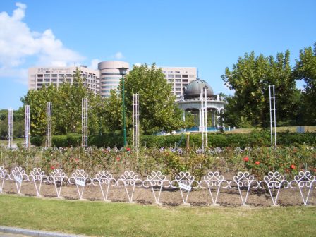 c0173201_21105665.jpg