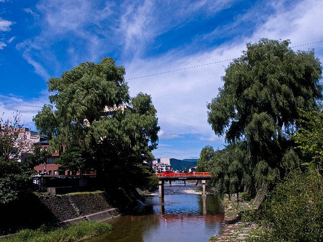 c0008502_9204689.jpg