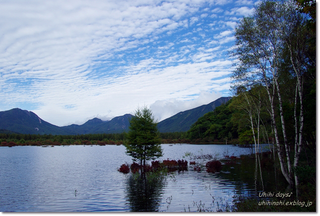 小さな秋を見つけに...日光　湯の湖・小田代ヶ原_f0179404_21395191.jpg