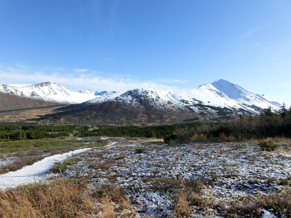 b0187313_38568.jpg