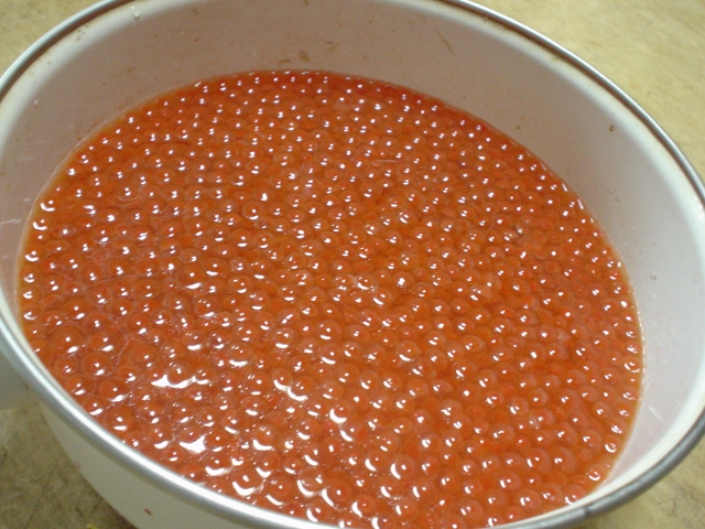 d0070814_1558571.jpg