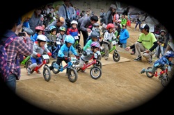 JOSF秩父ラウンドin秩父滝沢サイクルパークVOL23:2011 STRIDER CUP 第4戦 埼玉秩父ラウンド_b0065730_10561859.jpg