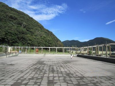 d0160932_23173691.jpg