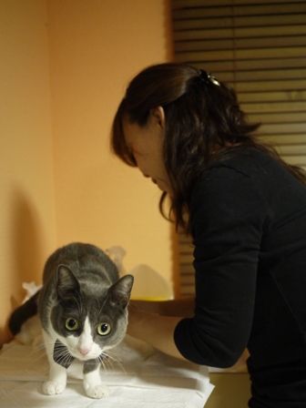 猫のお友だち 祿太くん編+犬のお友だち イチローくん編。_a0143140_22482394.jpg