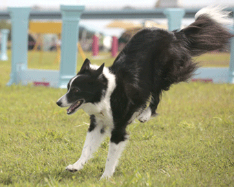 かけがえのないジカン。　　　　　　2011年10月6日_b0106643_22472563.gif