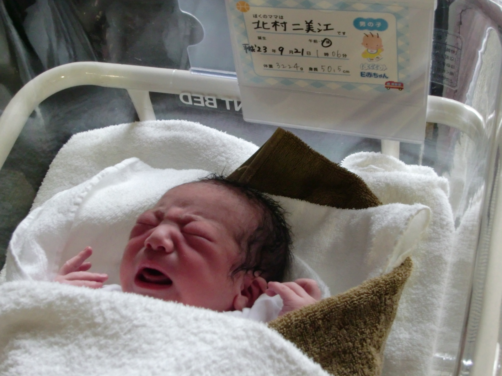 産まれました Fu Fu 産まれました Fu Fu