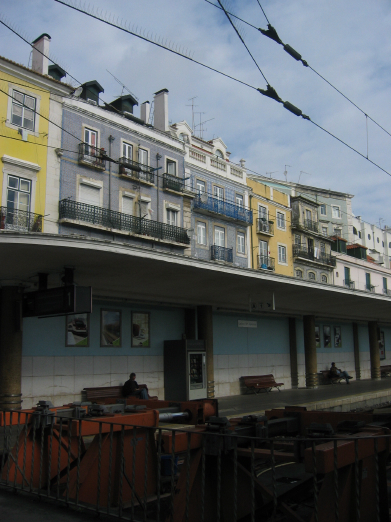 b0072051_87383.jpg
