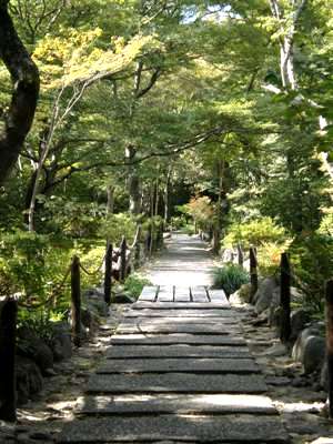 【小さい秋みつけた】　　　Ⅲ　　　　撮りたて　　　　嵯峨　「宝筐院」 ほうきょういん　 　_a0191852_1744842.jpg