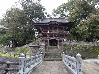 山門の欅の紅葉が始まりました_a0084753_16433757.jpg