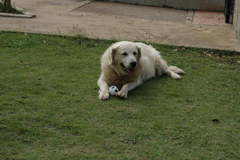 c0214455_17245.jpg